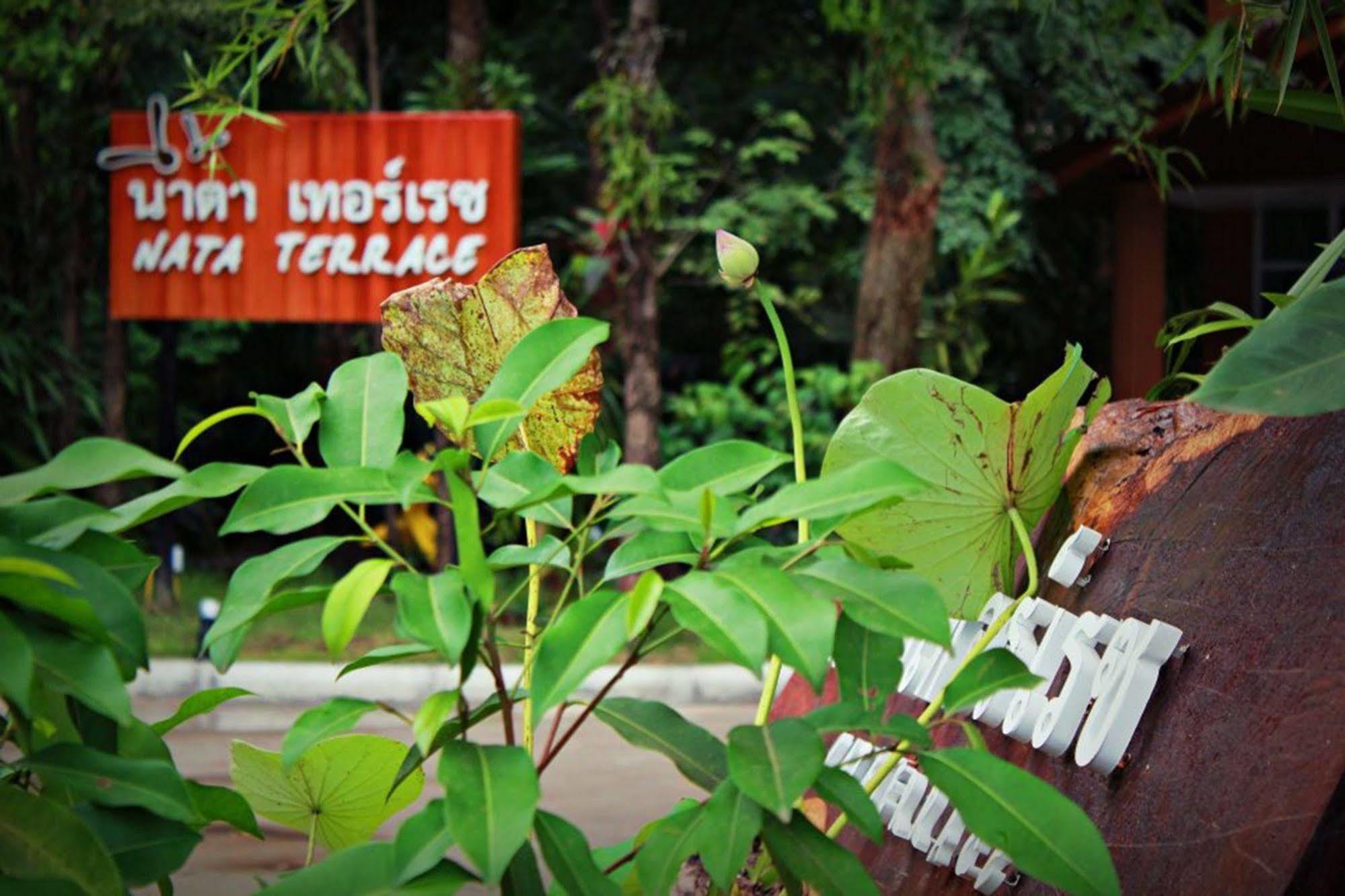 Nata Terrace Motell Udon Thani Exteriör bild
